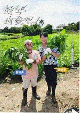 声音修理铺 音乐综艺在线观看