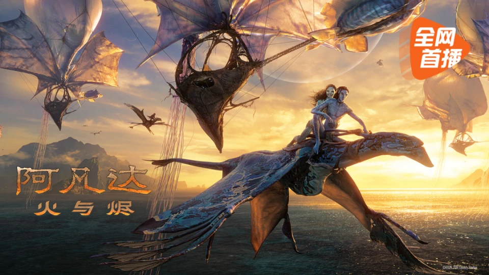 在线观看免费今日主推剧集雾港迷航海报